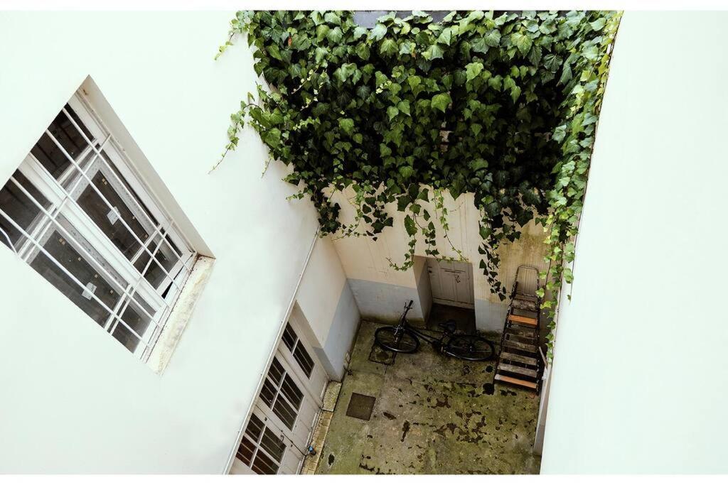 Ferienwohnung T 2 Calme&Douceur Tarbes Exterior foto